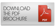 pdf_button